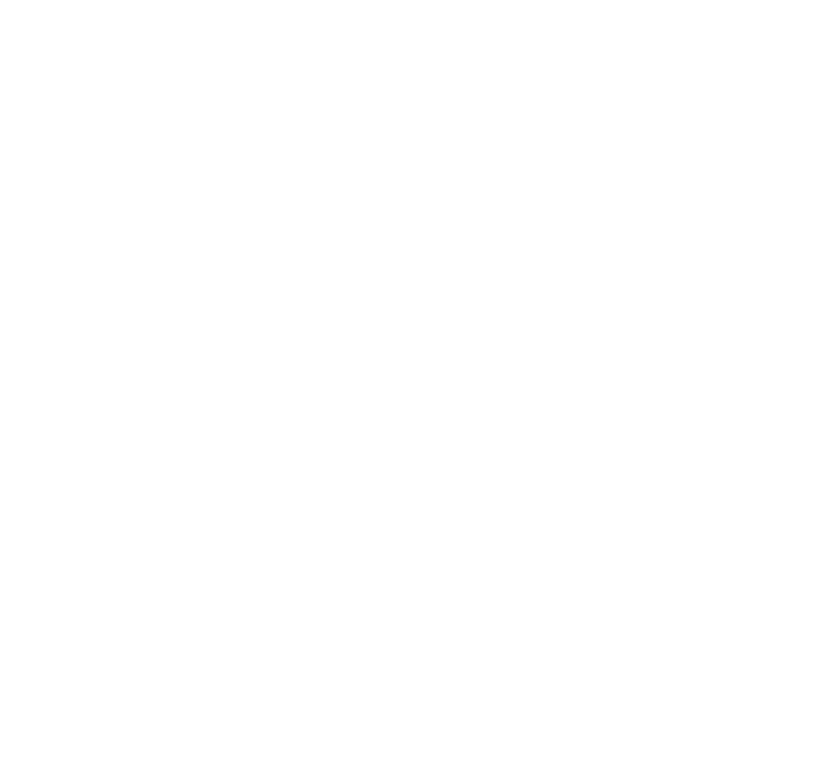 Dirona Bijoux